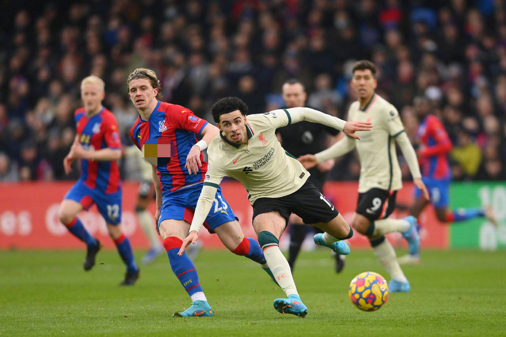 新加入的助 新加入的助