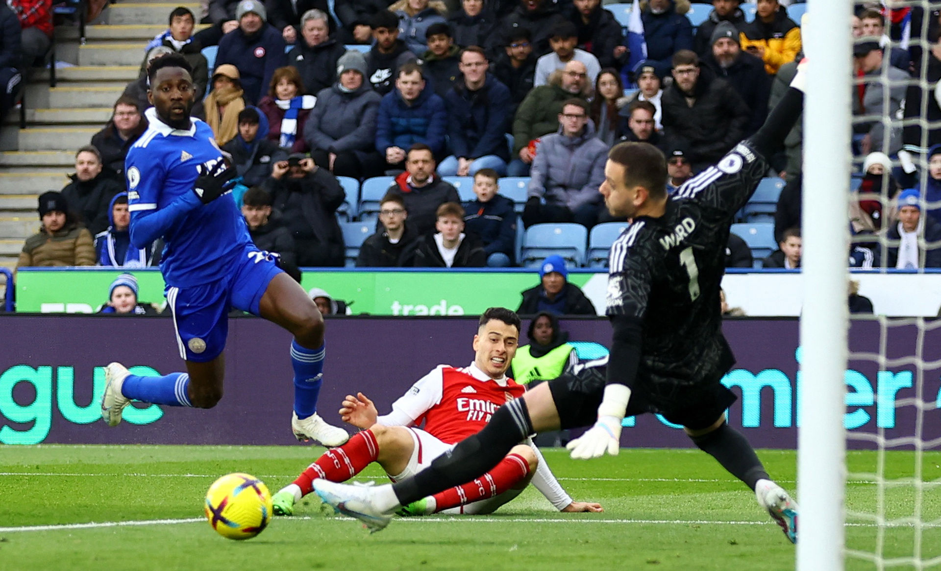 为许多羽毛 为许多羽毛